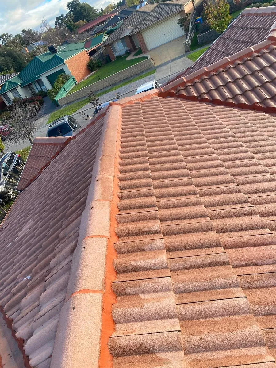Tiled rooftops across a leafy Melbourne suburb